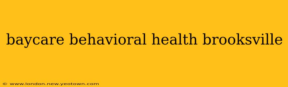 baycare behavioral health brooksville