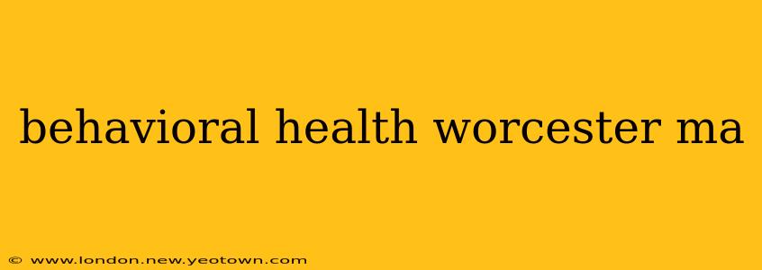 behavioral health worcester ma
