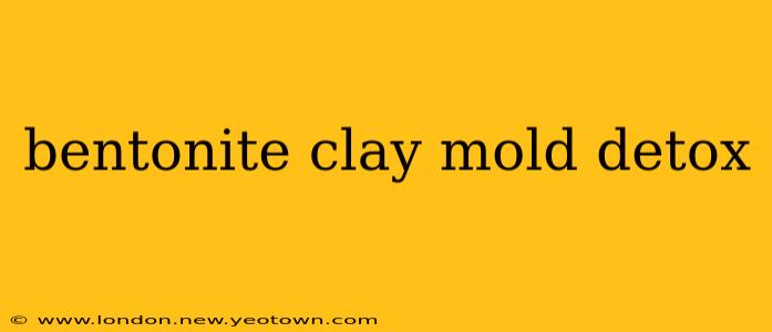 bentonite clay mold detox