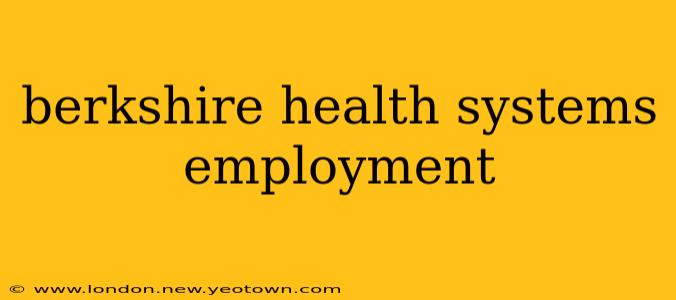 berkshire health systems employment