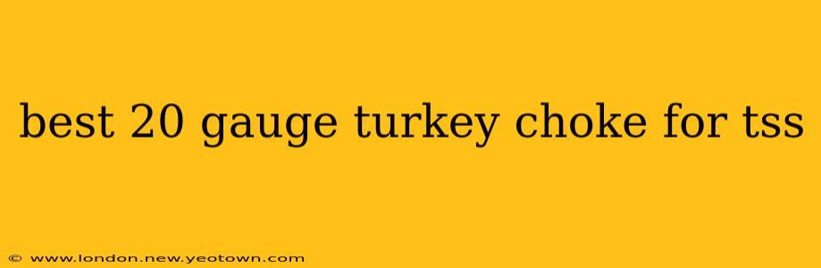 best 20 gauge turkey choke for tss