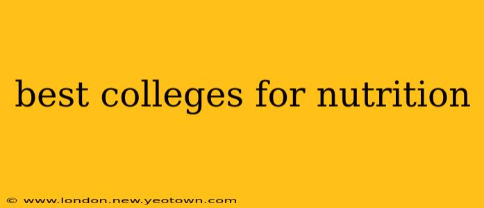 best colleges for nutrition