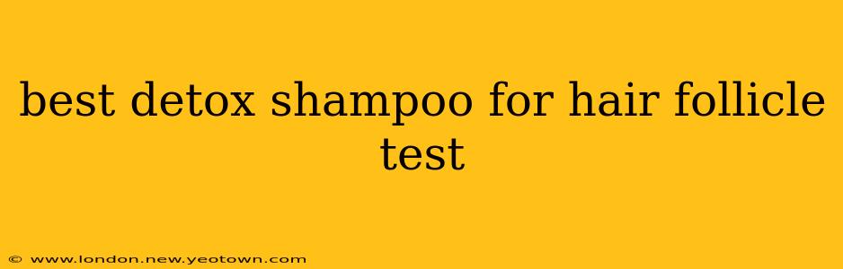 best detox shampoo for hair follicle test