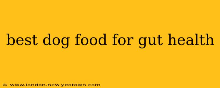 best dog food for gut health