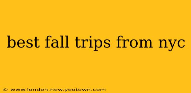 best fall trips from nyc