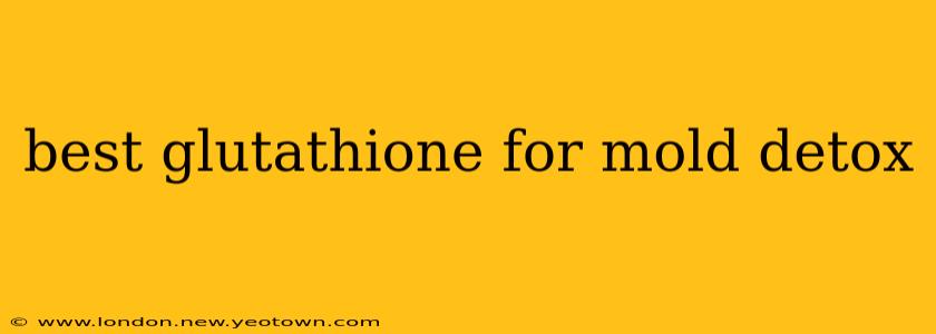 best glutathione for mold detox