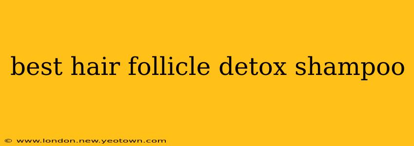 best hair follicle detox shampoo