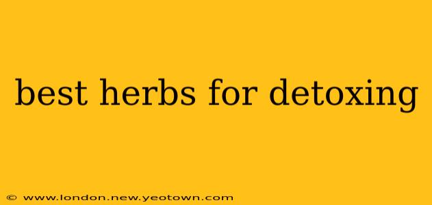 best herbs for detoxing