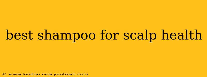 best shampoo for scalp health