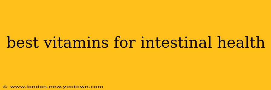 best vitamins for intestinal health