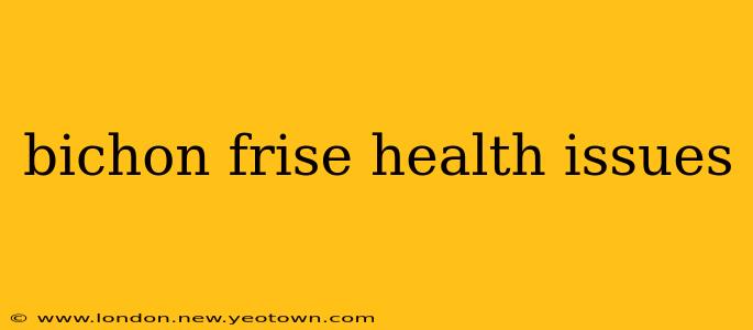 bichon frise health issues