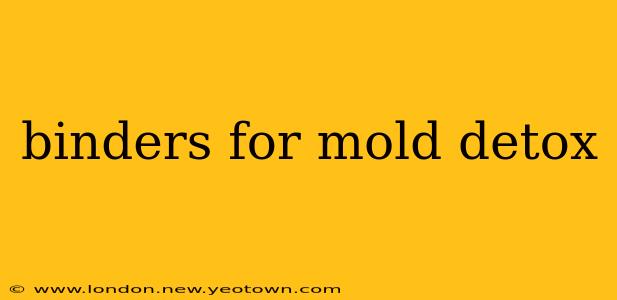 binders for mold detox