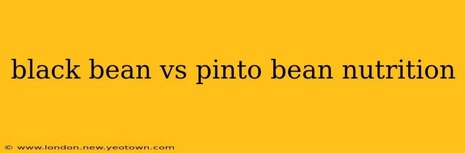 black bean vs pinto bean nutrition
