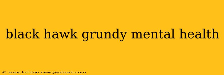 black hawk grundy mental health