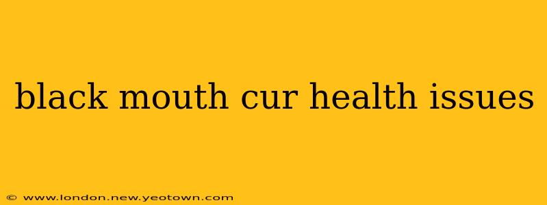 black mouth cur health issues