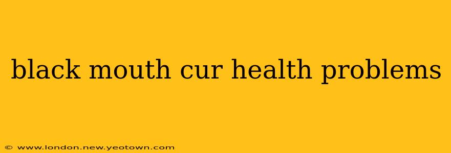 black mouth cur health problems