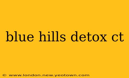 blue hills detox ct