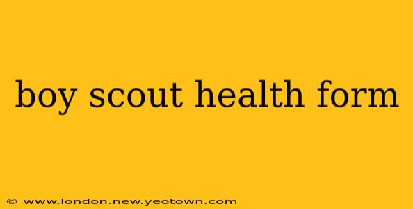 boy scout health form