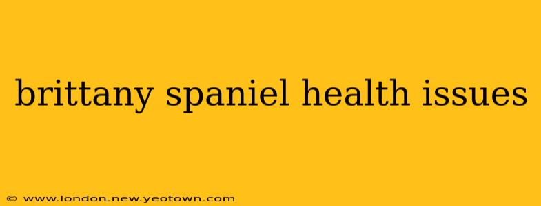 brittany spaniel health issues