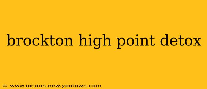 brockton high point detox