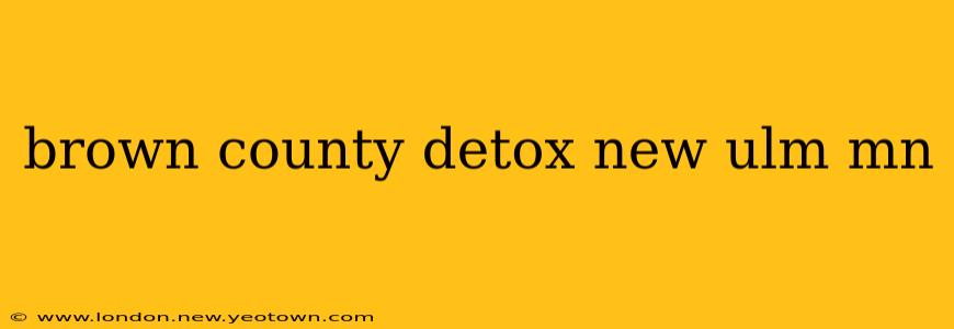 brown county detox new ulm mn