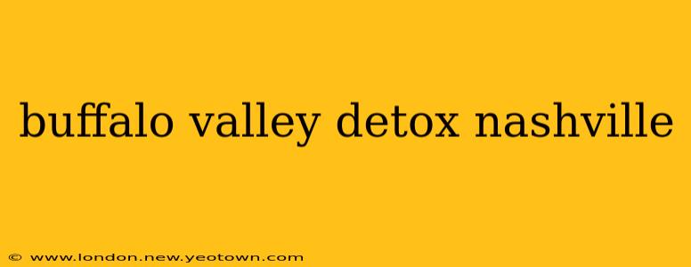 buffalo valley detox nashville