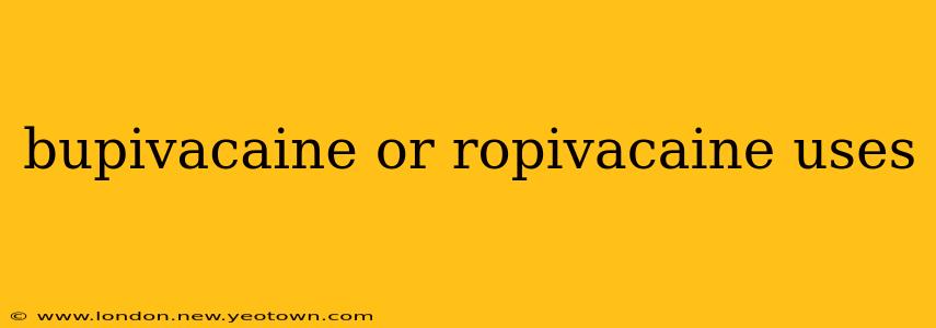 bupivacaine or ropivacaine uses