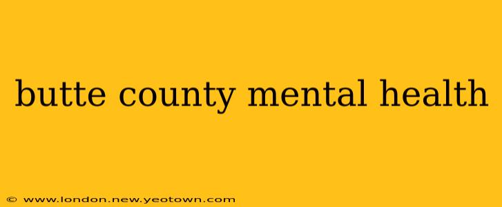 butte county mental health