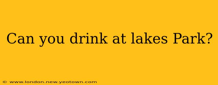 Can you drink at lakes Park?