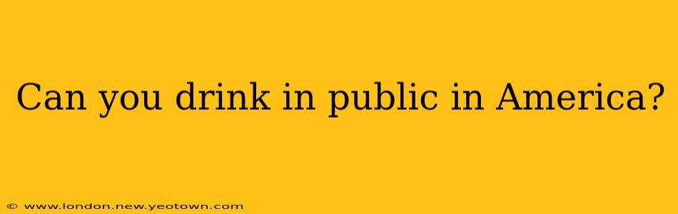 Can you drink in public in America?