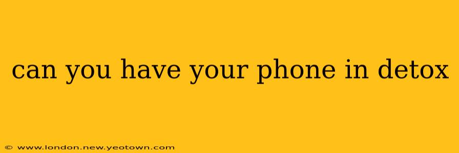 can you have your phone in detox
