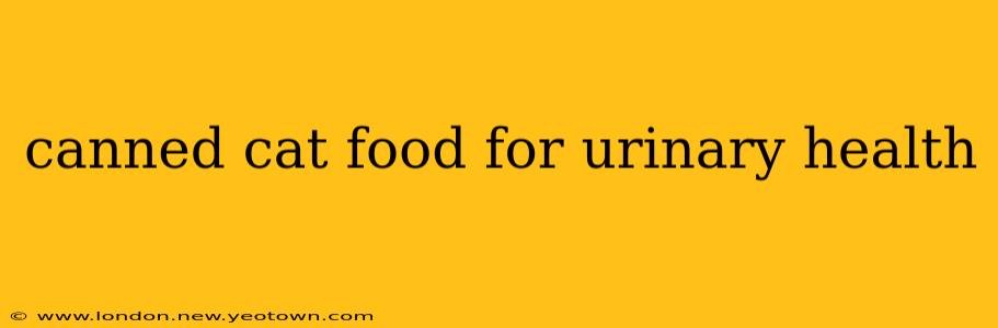 canned cat food for urinary health