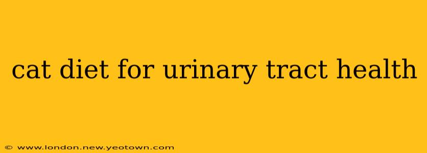 cat diet for urinary tract health