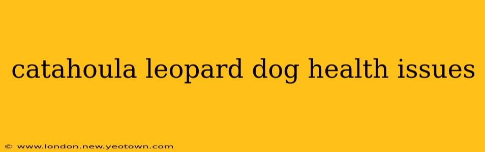 catahoula leopard dog health issues