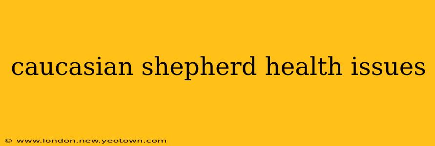 caucasian shepherd health issues