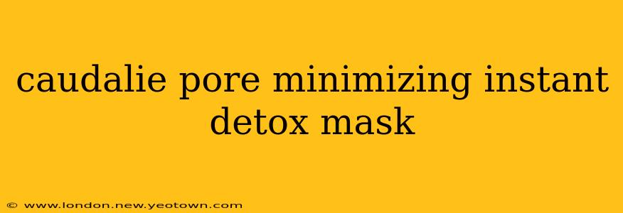 caudalie pore minimizing instant detox mask