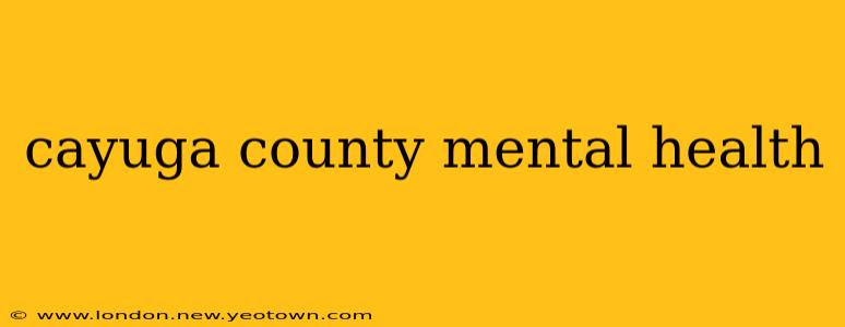 cayuga county mental health