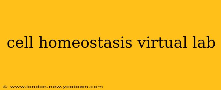 cell homeostasis virtual lab