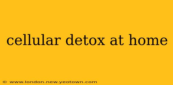 cellular detox at home