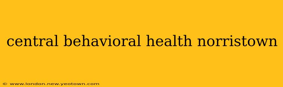 central behavioral health norristown