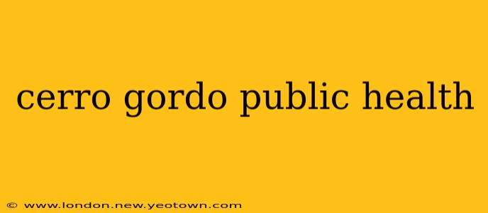 cerro gordo public health