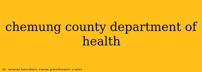 chemung county department of health