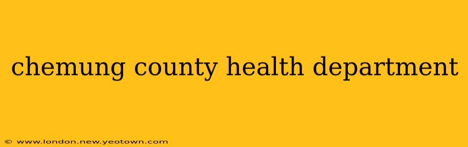 chemung county health department