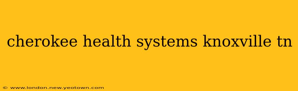 cherokee health systems knoxville tn