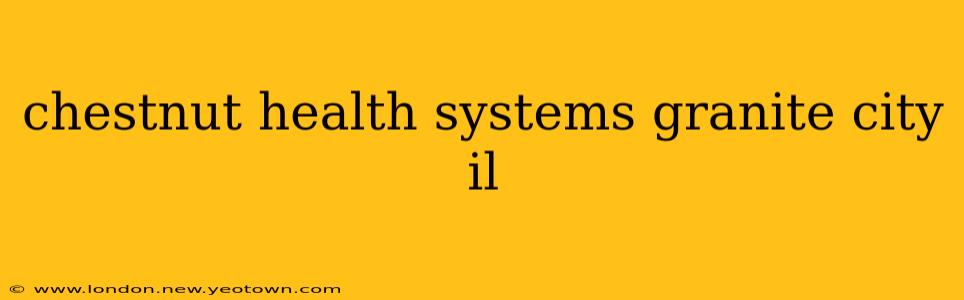 chestnut health systems granite city il