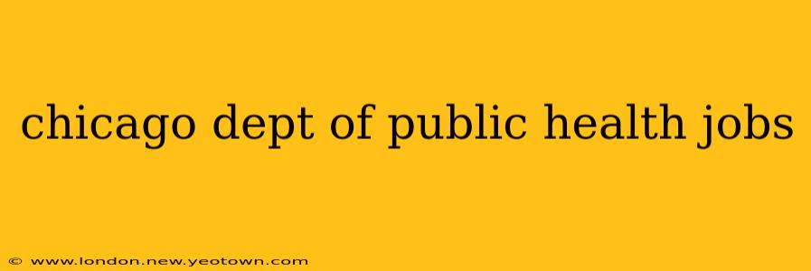 chicago dept of public health jobs
