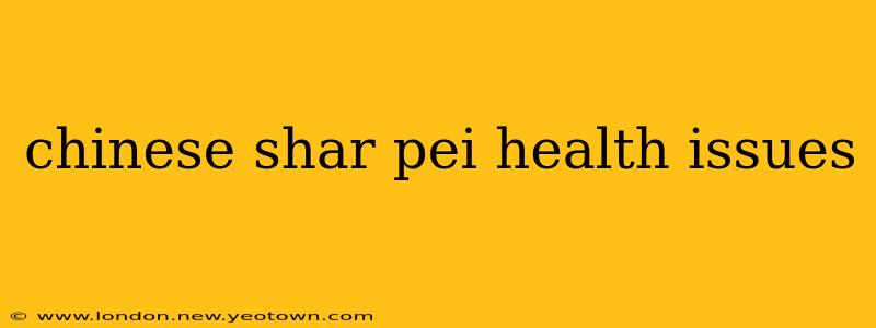 chinese shar pei health issues