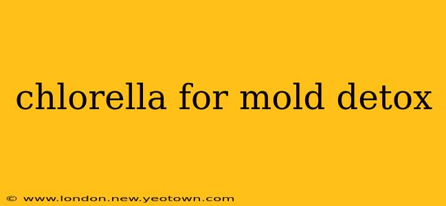 chlorella for mold detox