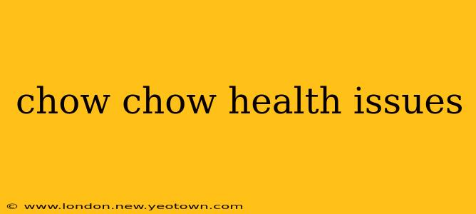 chow chow health issues