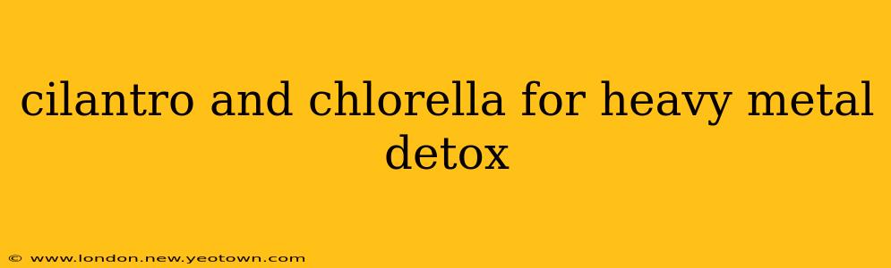 cilantro and chlorella for heavy metal detox